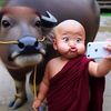 fatboys_388