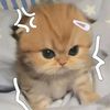 nong.zx