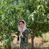 shukria.naemi