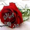 user2244040525530