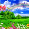 onlycricket_5