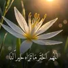 user4714193336305