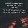 yared.haylu8
