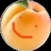 mr..apricot
