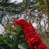 md.somon2906