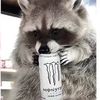 hassurr00