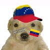 randomvenezuelan_12