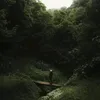omrelliug3