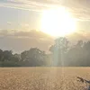 matt.44.44.44