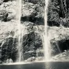 024necnmgn