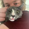squeefman