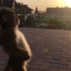 audyamvz_