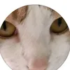 begoaprez4