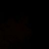 0013_.luis