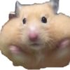cooliuy99_