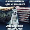 heiner.d.lazaro