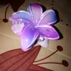 a_naclara123