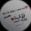 mrhaidar027