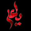 dashti474