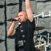 officialdaviddraiman1