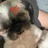 dumpmimimi_
