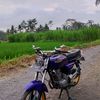 al.faqih803