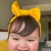 l8.ivv