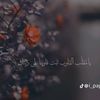 samiralaa.agme