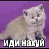markowkadooo