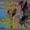 shorif.khan8596