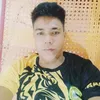 2413vincenttanalion