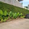 kamu.nanya35365