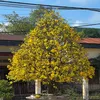 h.quc.nh5