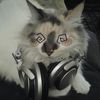 m0kz0