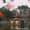 hang.nguyen7167