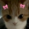 kinn_kinan