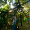 bhabana__mgrx