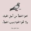 amine276958