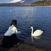 Vivucungchen