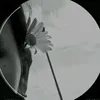 sofiko_090