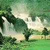 user6050917775814