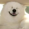 uwuginn