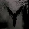 skyzeen.exe