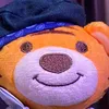 windy_ajillo6