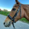 lauranissen12