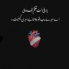 rabiabrand001