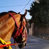 saed3584