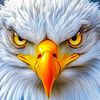 qabqable77