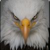 www.tiktok.comwww.king1