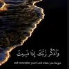 user2411969404052